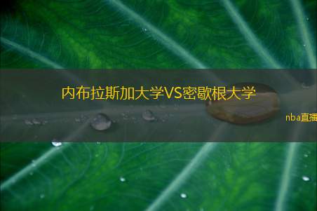 内布拉斯加大学VS密歇根大学