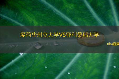 爱荷华州立大学VS亚利桑那大学