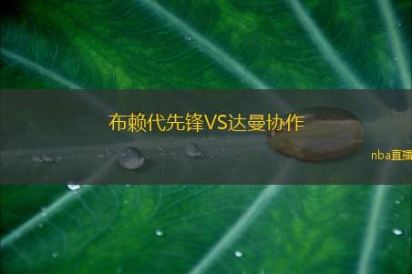 布赖代先锋VS达曼协作