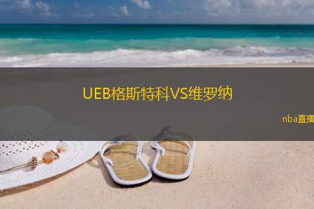 UEB格斯特科VS维罗纳