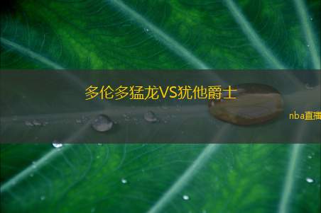 多伦多猛龙VS犹他爵士
