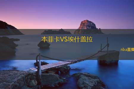本菲卡VS埃什盖拉