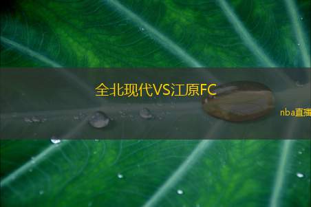 全北现代VS江原FC