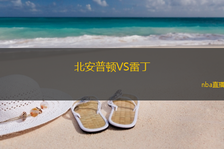北安普顿VS雷丁