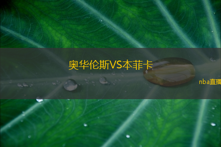 奥华伦斯VS本菲卡