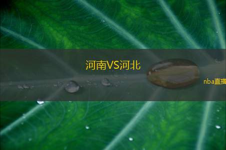 河南VS河北