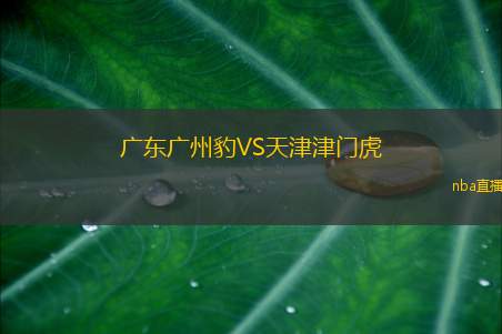 广东广州豹VS天津津门虎